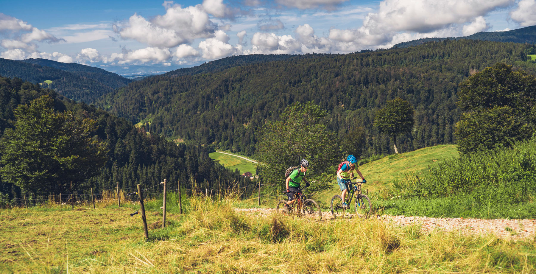 Mountainbike-Schwarzwald
